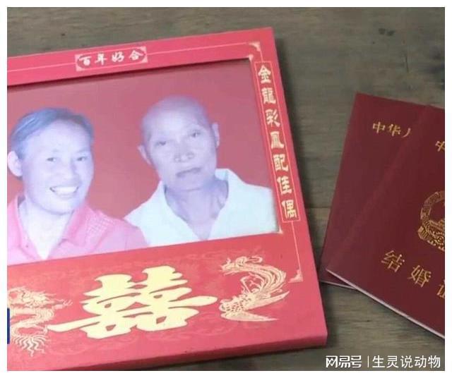 嘉兴重婚取证_湖州重婚取证_嘉兴市婚姻登记